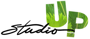Studio Up!